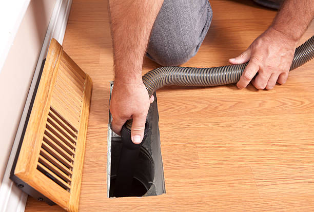 Best Local Air Duct Cleaning Services  in Hayden, CO