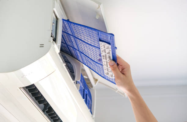 Best Home Air Vent Cleaning  in Hayden, CO